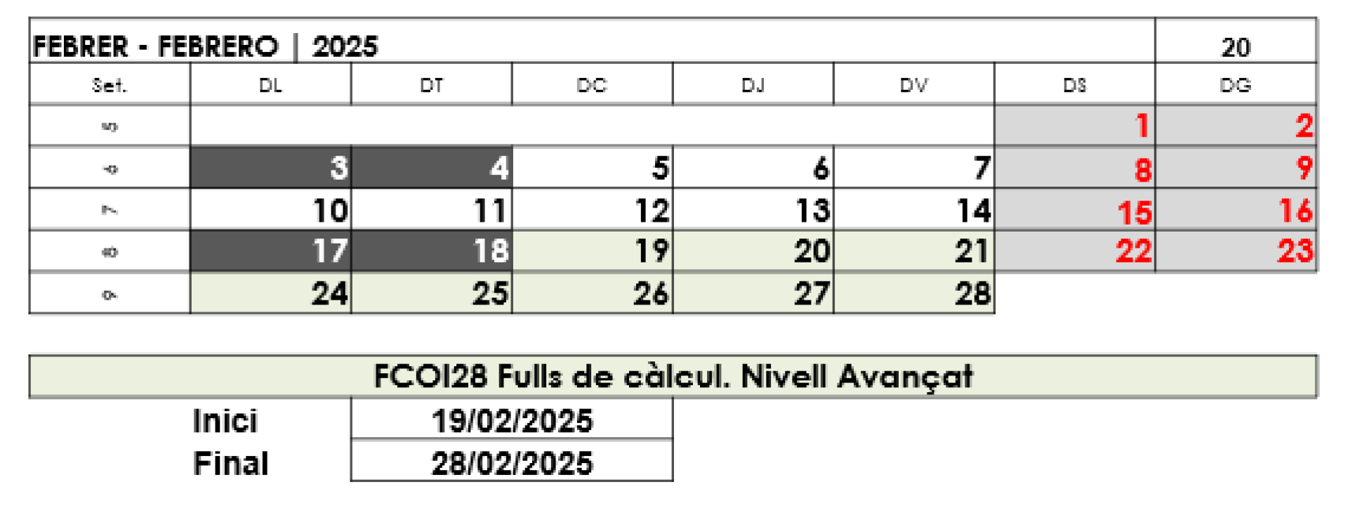Calendari de la formació Aplicació del full de càlcul de nivell avançat  (FCOI28)