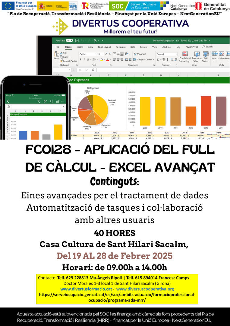 Calendari de la formació Aplicació del full de càlcul de nivell avançat  (FCOI28)
